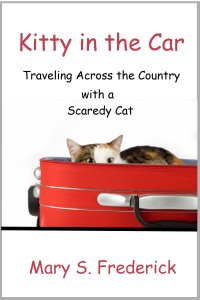 Kitty in the Car Kitty in the Car